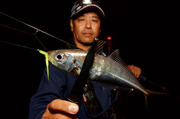 EVERGREEN（エバーグリーン インターナショナル） - SPRS-610UL-S