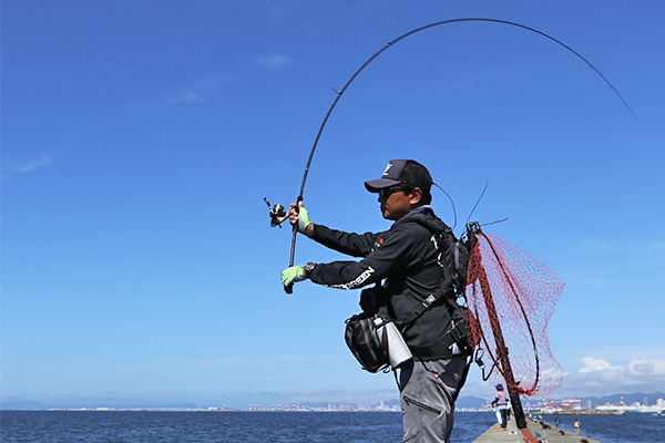 EVERGREEN（エバーグリーン インターナショナル） - ZAGS-103M/H