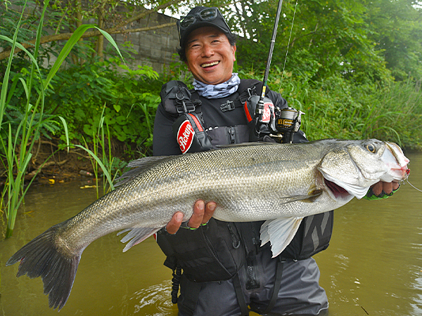 EVERGREEN（エバーグリーン インターナショナル） - ZAGS-91UL/L