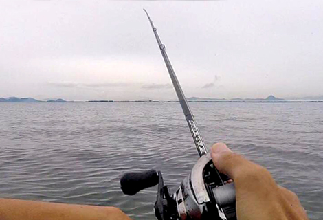 エバーグリーン インスピラーレ・グランドスタリオンGT-X 開発