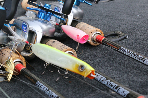 EVERGREEN（エバーグリーン インターナショナル） – 小林知寛 JB