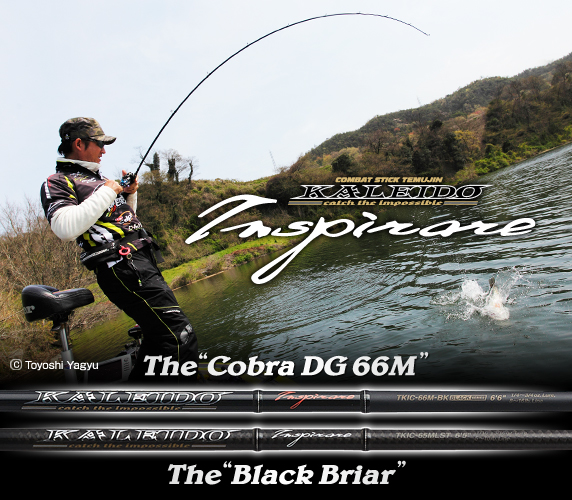 EVERGREEN（エバーグリーン インターナショナル） – 今江克隆 イン