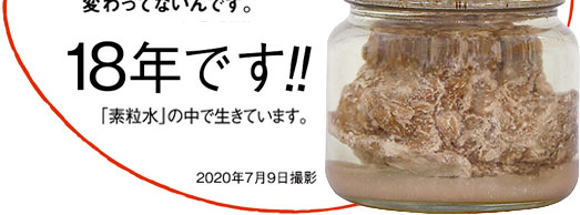 株式会社フリーサイエンス 暮らしに役立つ情報「ECOだより」