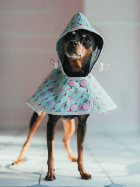 MARLEY RAE | レインコート - ミントティーカップ(犬用 / Mサイズ