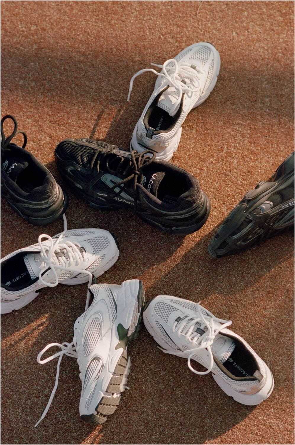 ラコステ×アダム エ ロペのメッシュスニーカー、ブラック＆ホワイトの