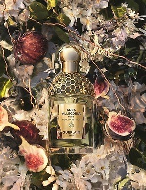 ゲラン「アクア アレゴリア」のオーデパルファンに新作、人気“ネロリの