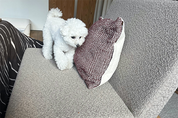 FLANNEL SOFA PENTA900 グレー