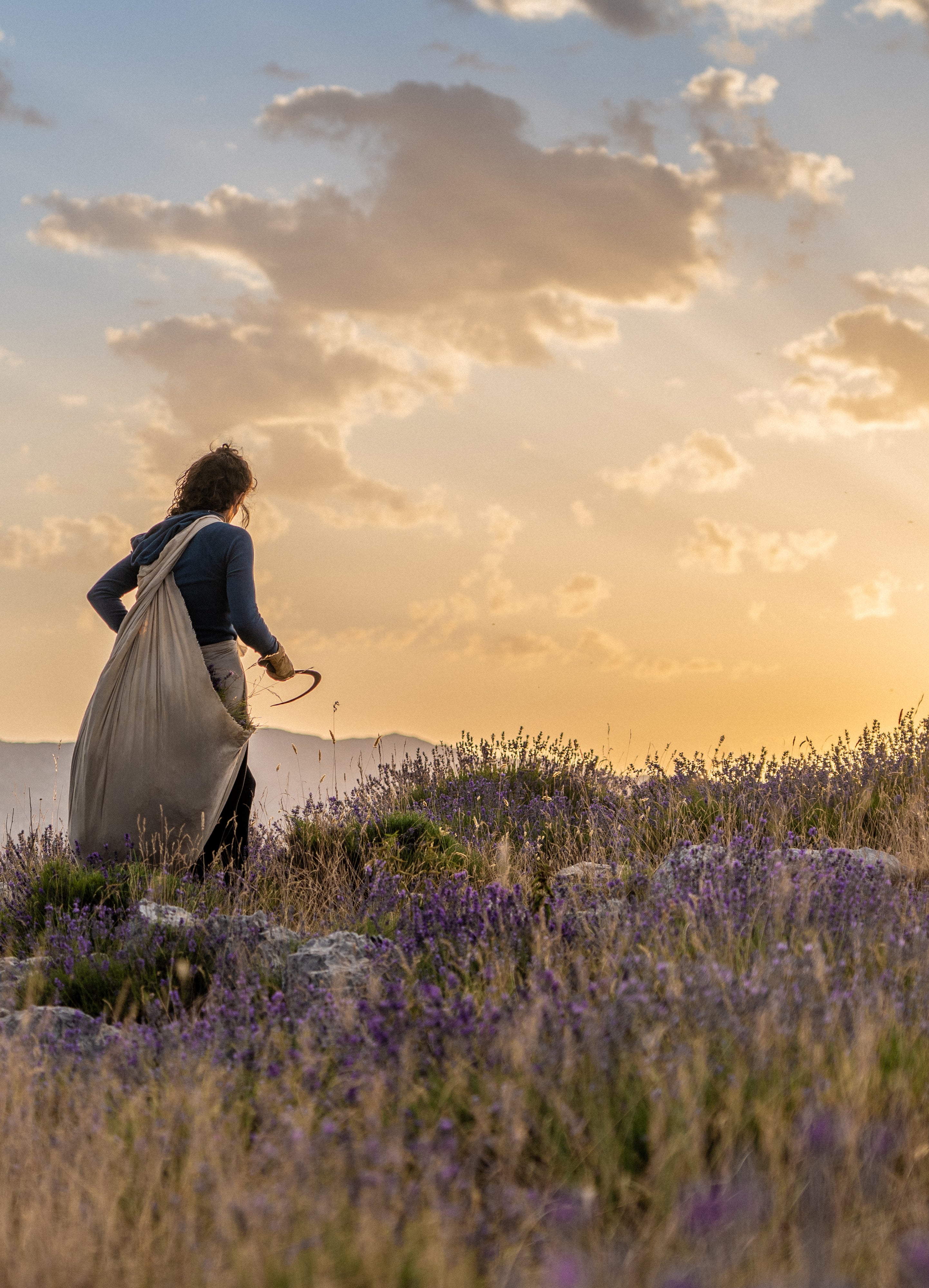 エッセンシャルオイル(精油・アロマオイル)｜フロリハナ公式通販