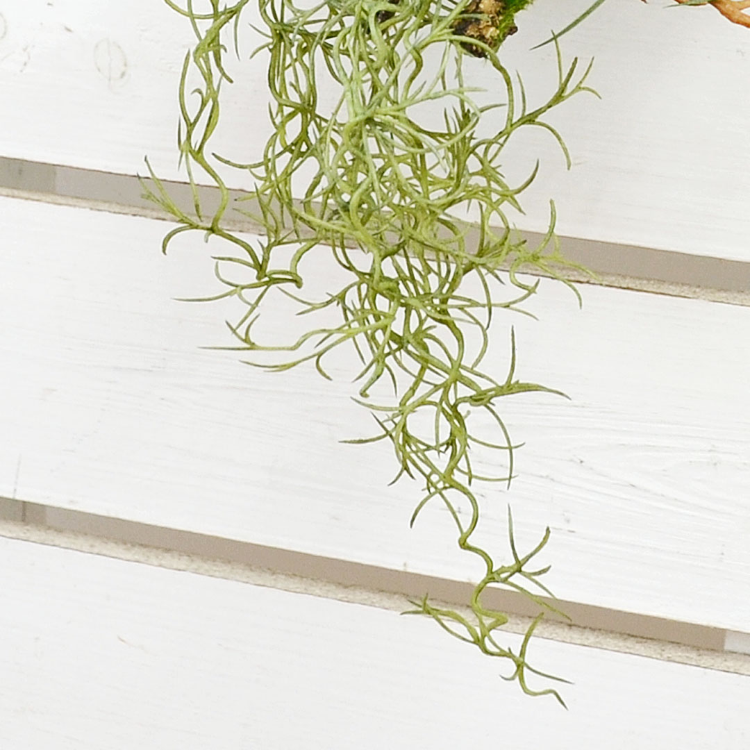 観葉植物の販売・ギフトならフラワーコーポレーション / 人工観葉植物