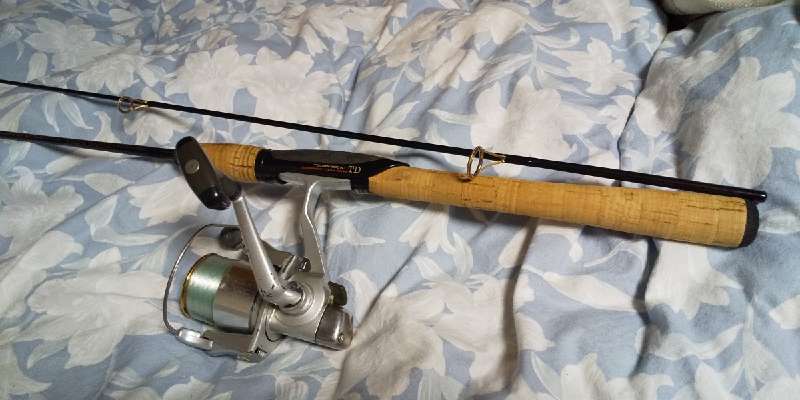 さばみその備忘録】 憧れのロッドが手元に