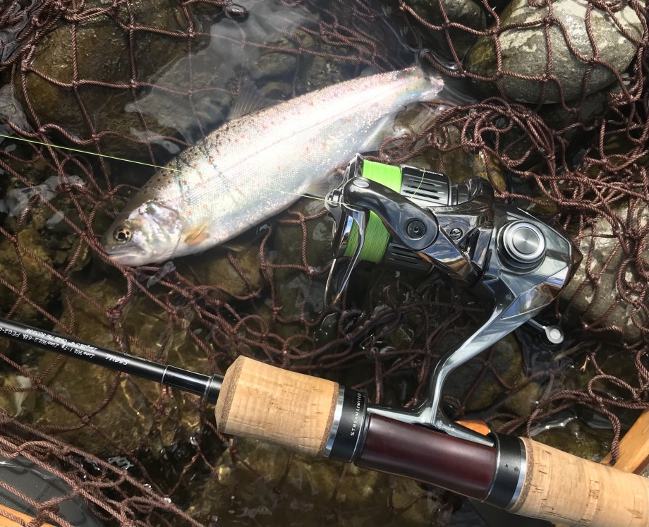 ブログ】 カーディフストリームリミテッドS54UL感想と親指