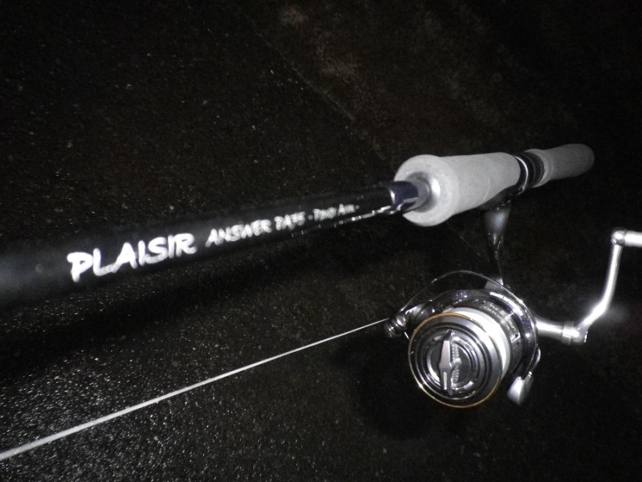 水たまりにでも投げたい】 プレジールアンサー