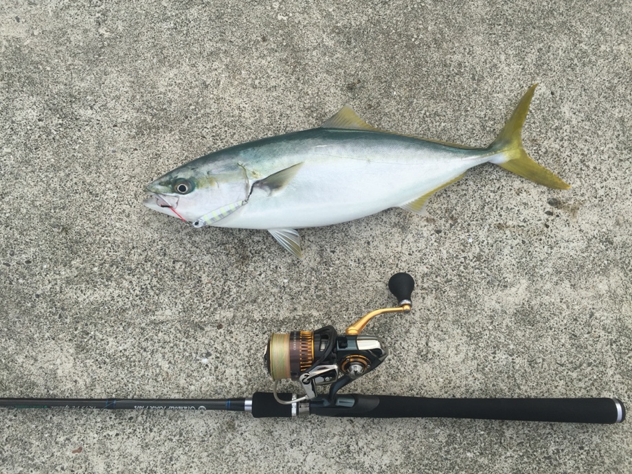 つりろぐ】 breaden GRF-TR93