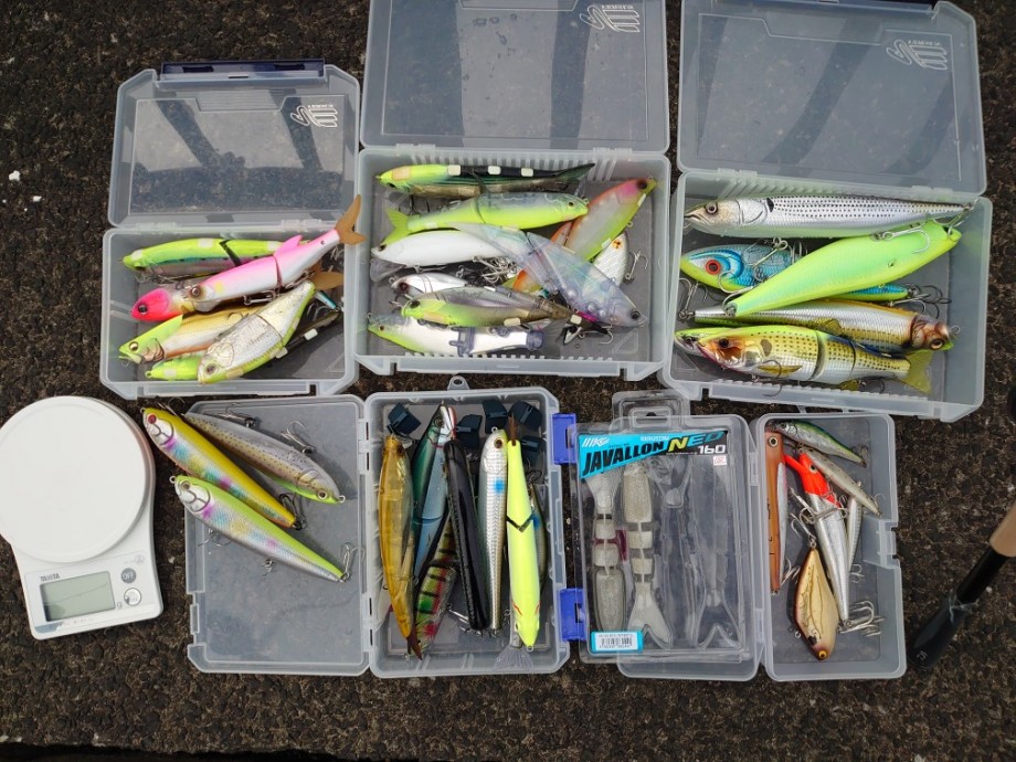 お散歩シーバス～魑魅魍漁～】 ブレイゾン：C611H-2・SBでビッグベイト