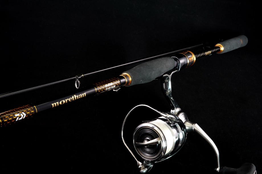 ダイワモアザンブランジーノEX AGS 94 LML