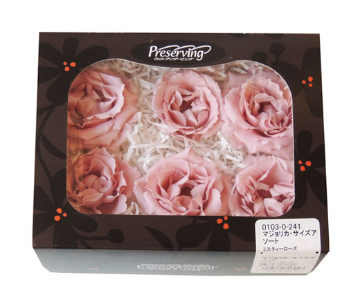 ローズ6輪【マジョリカ・サイズアソート】 | プリザーブドフラワーKnext