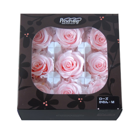 大地農園・かのんM・ピュアホワイト9輪・アウトレット | プリザーブド