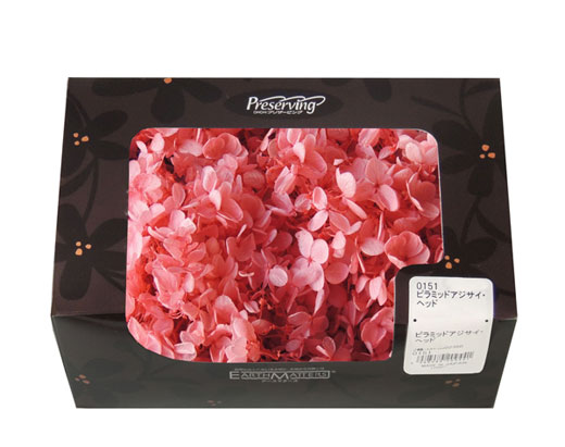 アウトレット・大地農園・あじさい | プリザーブドフラワーKnext