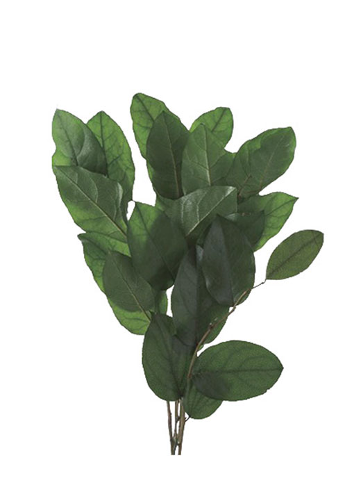 大地農園・みやこ松・小枝・グリーン・アウトレット | プリザーブド