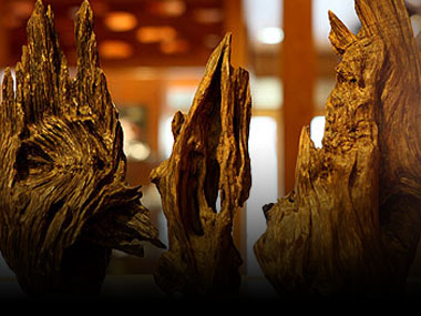 沈香の通販・販売｜高品質の沈香を香木鑑定士が厳選｜お香専門店【香源】