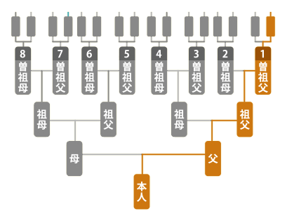 家系図を作るには | 家系図について | 株式会社亘徳