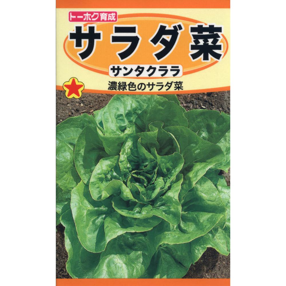 レタス種子 サニーレタス の通販 | ホームセンター コメリドットコム