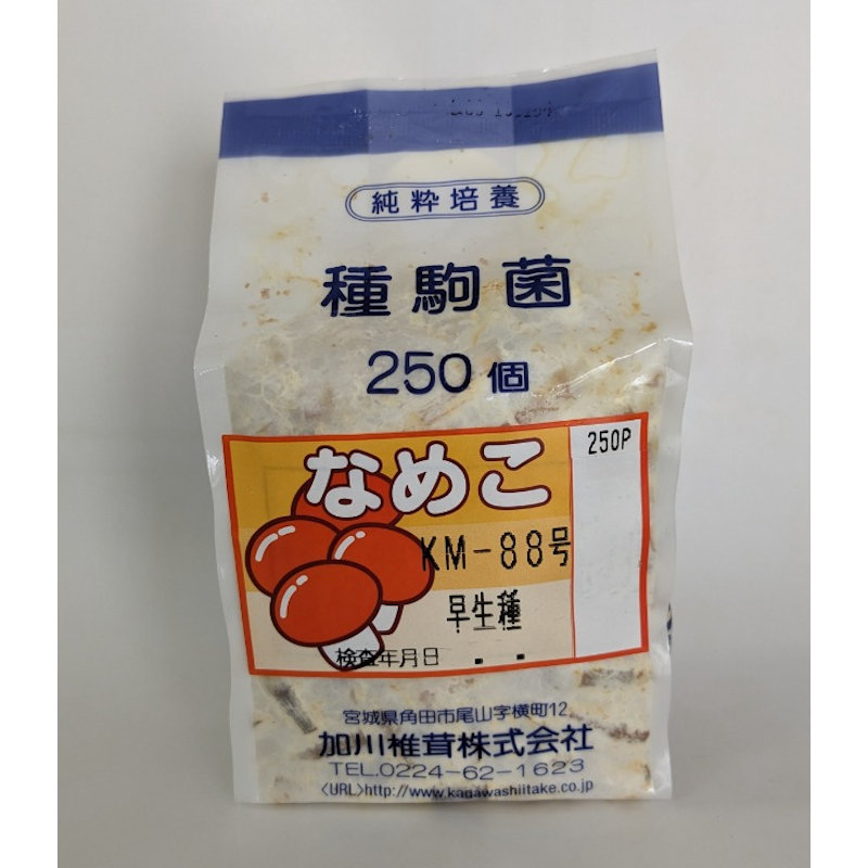キノコ予約】 なめこ種駒 KM－88号 早生種 250P 【申込期限