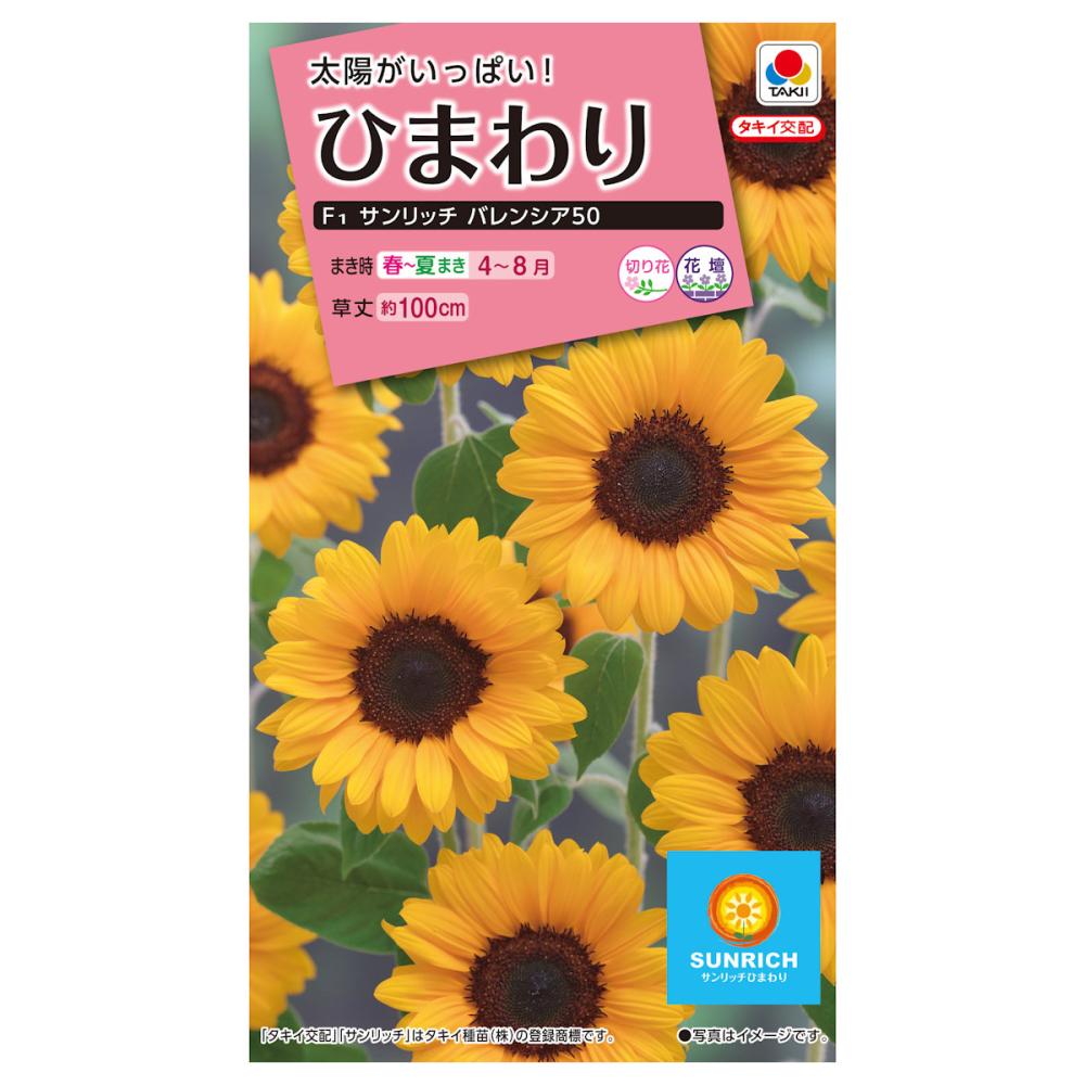 ヒマワリ種子 東北八重ひまわり の通販 | ホームセンター コメリドットコム
