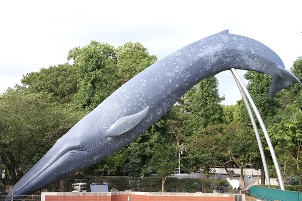 展示 TOP | 国立科学博物館 National Museum of Nature and Science,Tokyo