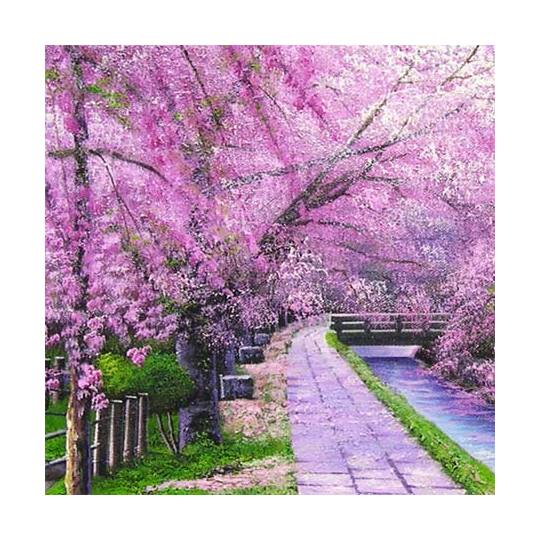 絵画 油絵 哲学の道 （木村由記夫） 送料無料 【肉筆】【油絵】【日本