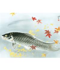 川端龍子 秋鱗 （名画複製画） 尺五 掛け軸（掛軸） 日本製 大観 玉堂