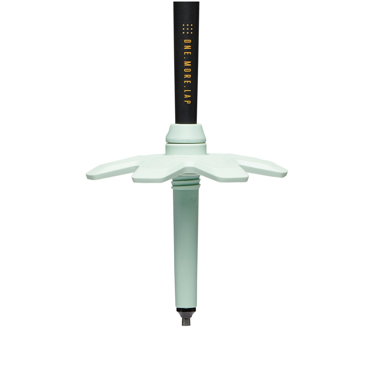 BlackDiamond ブラックダイヤモンド トラバース プロスキーポール