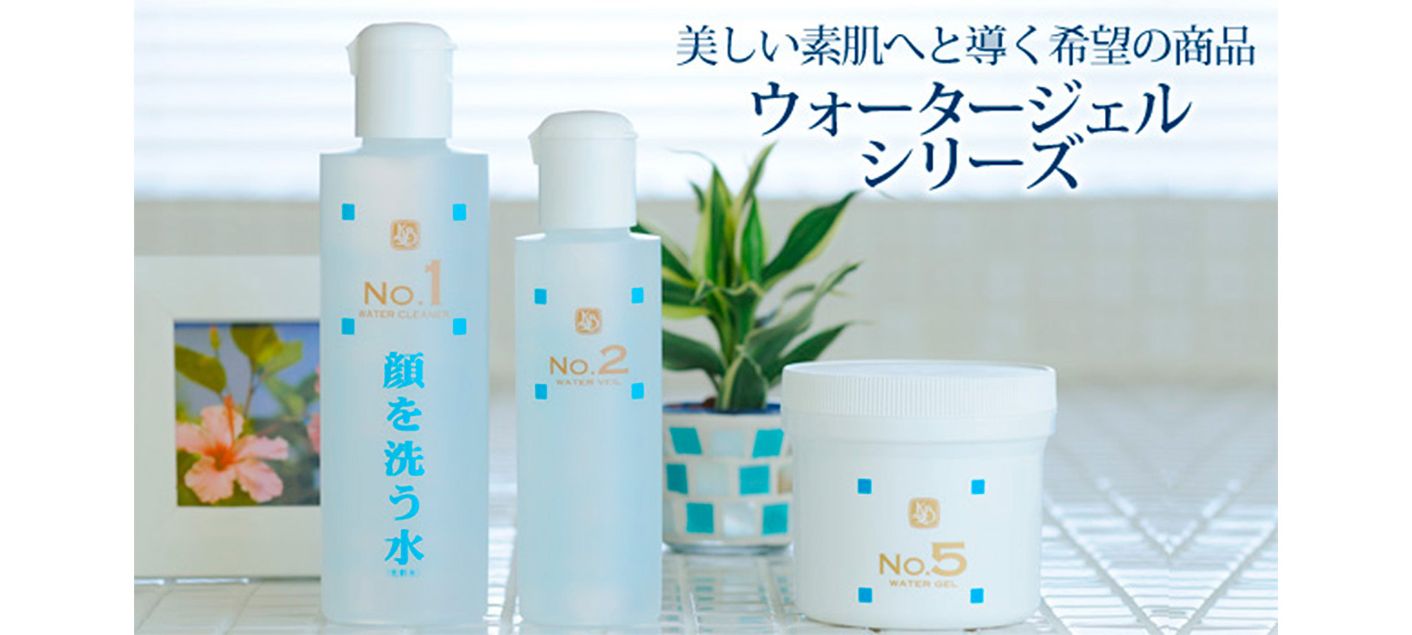 顔を洗う水 | カミヤマ美研販売