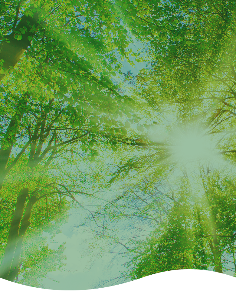 セキュリティ対策、ネットワーク構築でお悩み｜株式会社SHINKO