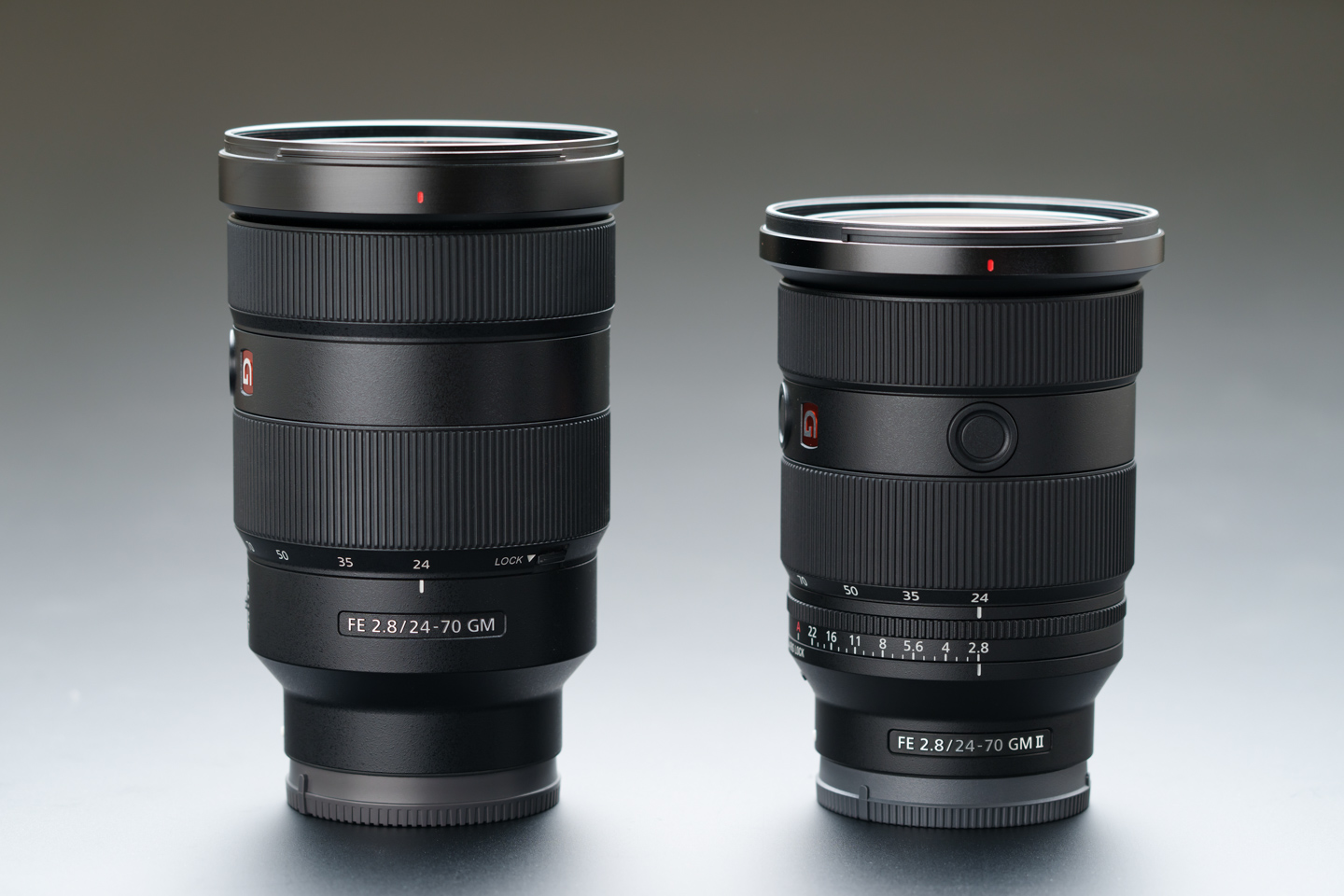 ソニー FE 24-70mm F2.8 GM II レビュー｜野鳥のいる風景をまるごと