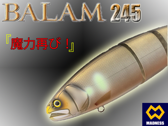 マドネスジャパン バラム245（MADNESS JAPAN BALAM 245） 【シーバス