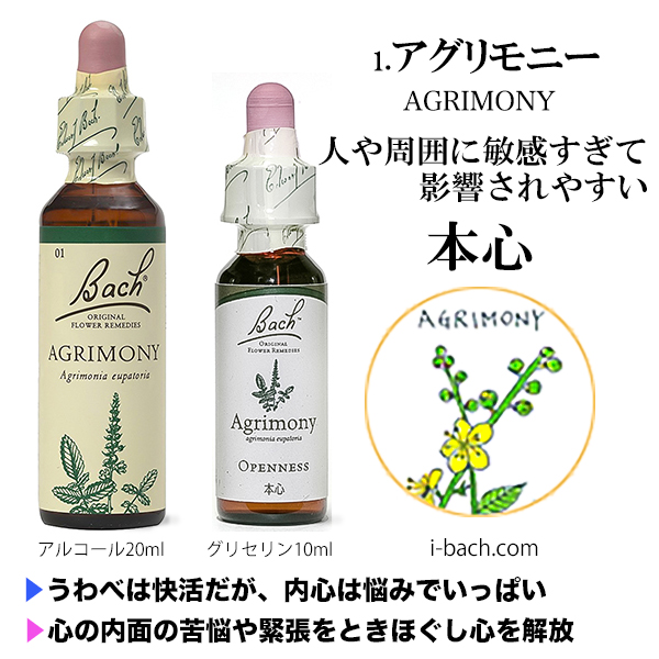 バッチフラワー38種類のお花の指標、傷ついた感情を癒すバッチフラワー