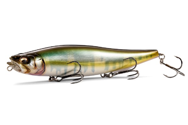 MEGABASS / MEGADOG 180 | IchibanTackle.com