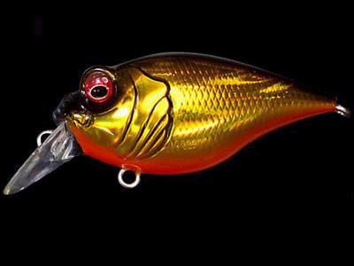 MEGABASS / GRIFFON 6CC | IchibanTackle.com