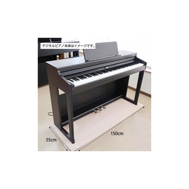 Roland 【次回納期未定】DP603-PES [黒塗鏡面艶出し塗装仕上げ](当店