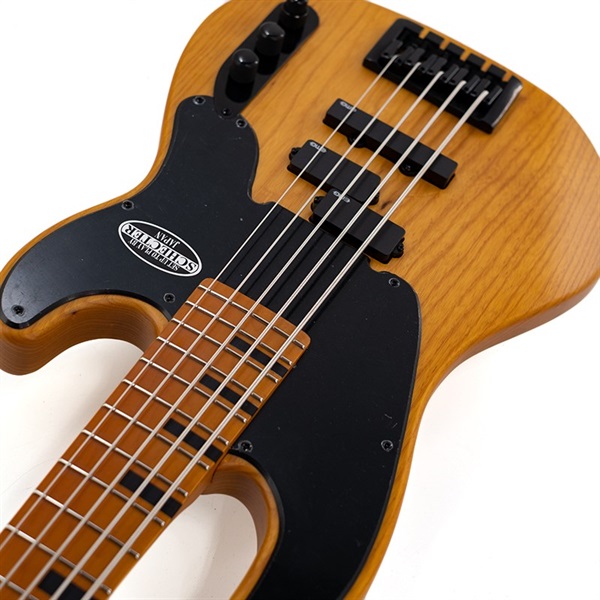 SCHECTER MODEL-T SESSION 5 [AD-MT-SS-5] (ANS) 【半期決算セール