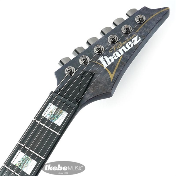 Ibanez Premium RGT1221PB-DTF ｜イケベ楽器店オンラインストア