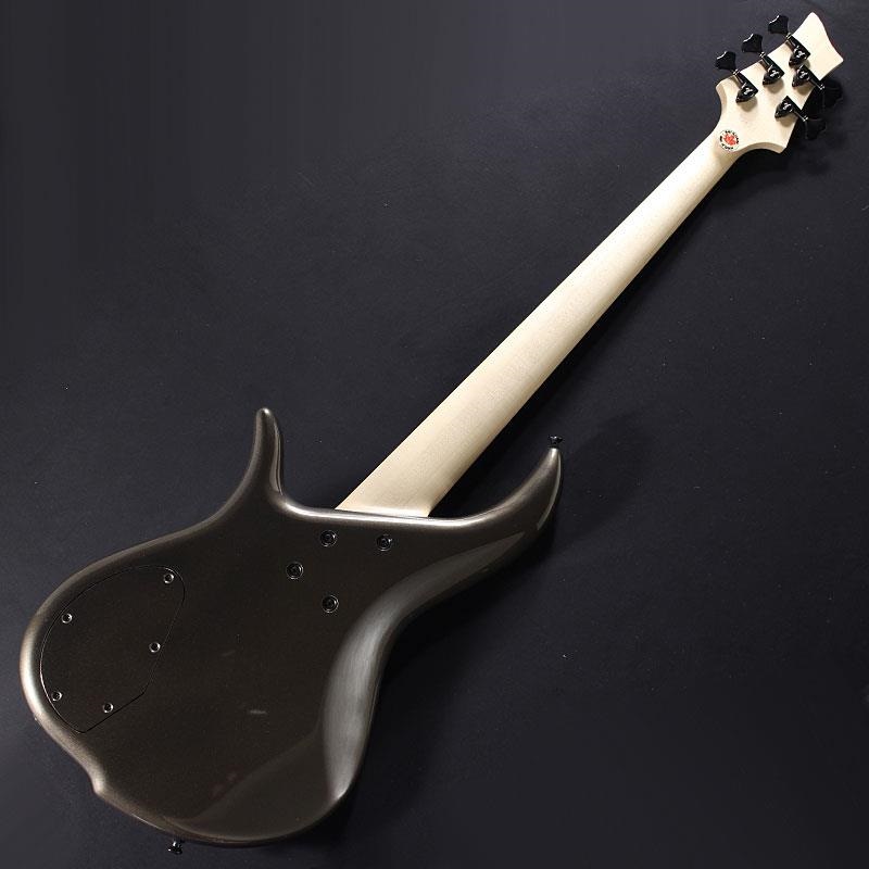 F-bass BN5-ZE Macassar Ebony Fingerboard， Hipshot A Style Bridge