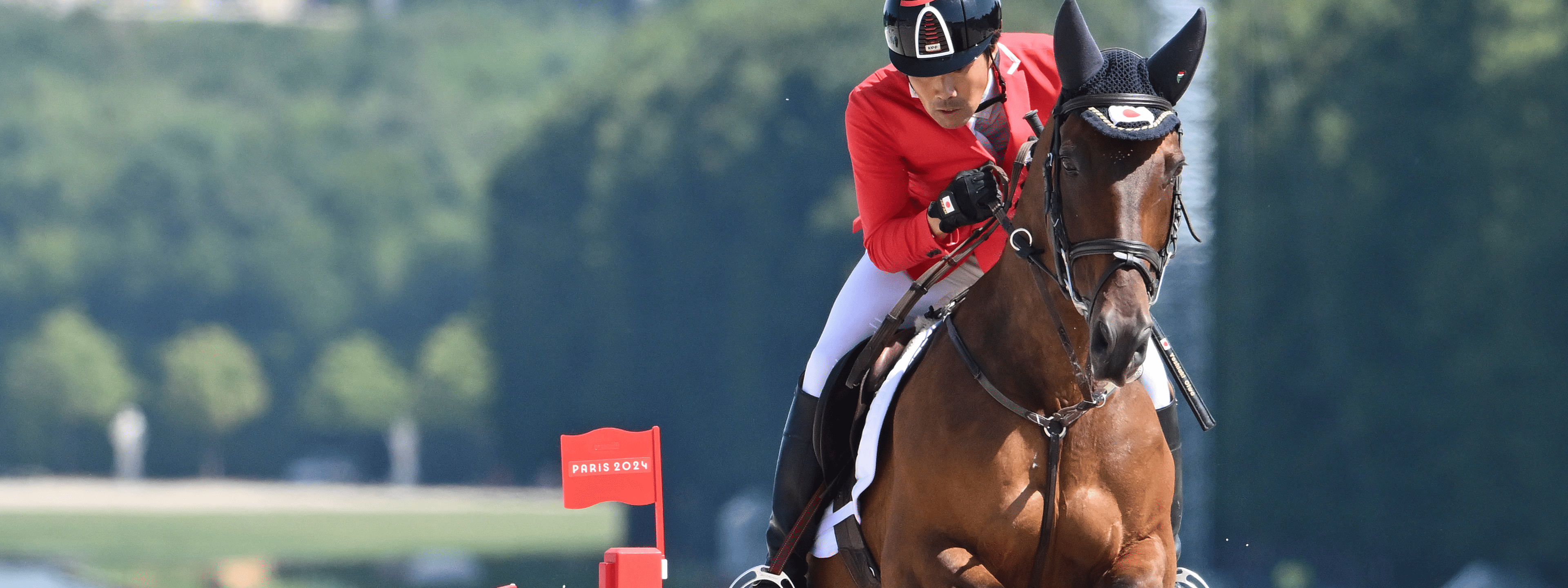 馬術｜競技｜日本オリンピック委員会（JOC）JOC - 日本オリンピック委員会