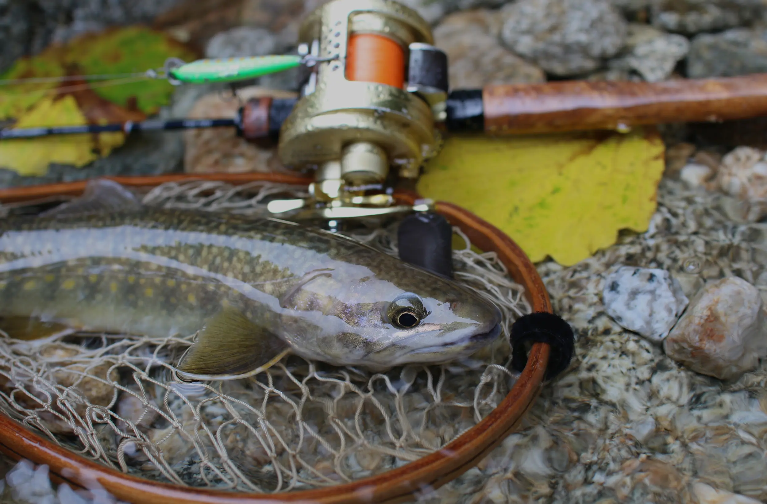 つながろう、新しい「釣りの」世界へ。- JOINTER -