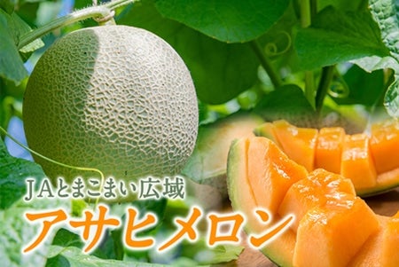 2025年受付終了】JAとまこまい広域 アサヒメロン秀品約1.6㎏×2玉《7月
