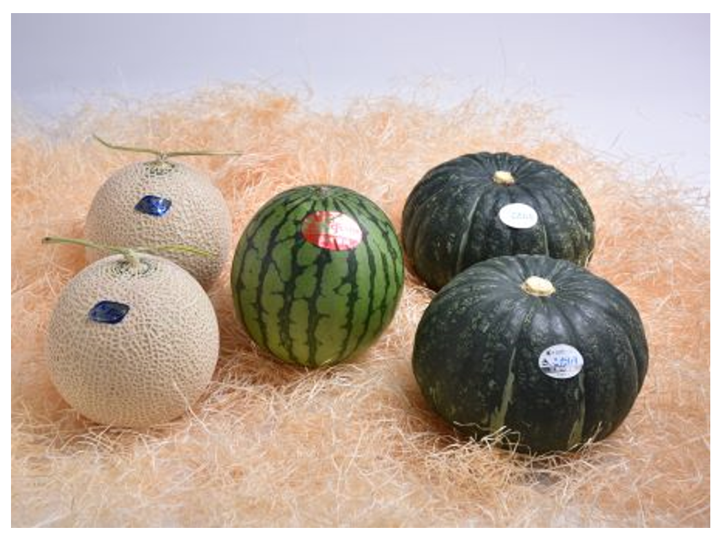 三浦サマーセット（こだわりかぼちゃ2個、メロン2個、小玉すいか1個