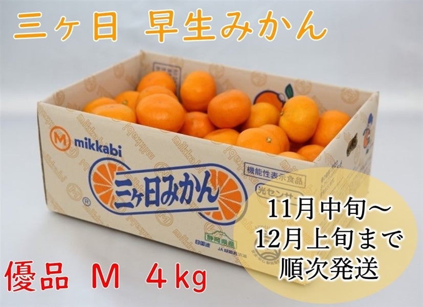 三ヶ日早生みかん（優品）M 4kg JAみっかび: しずおか『手しお屋