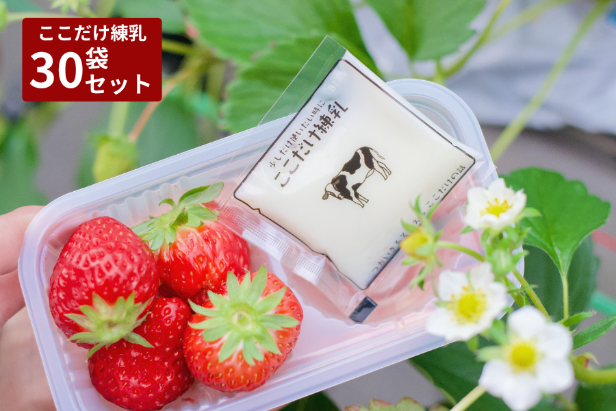 ここだけ練乳30袋入り: しずおか『手しお屋』|【JAタウン】産地直送