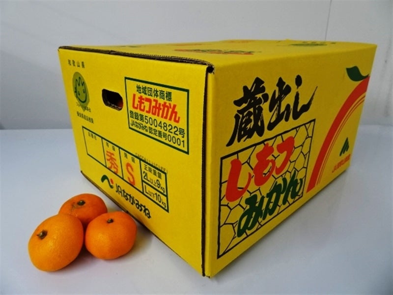 和歌山県しもつの蔵出しみかん 約10kg 【サイズS】(ながみね): ココ